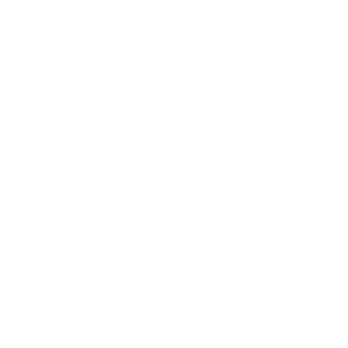 webdizer Logo